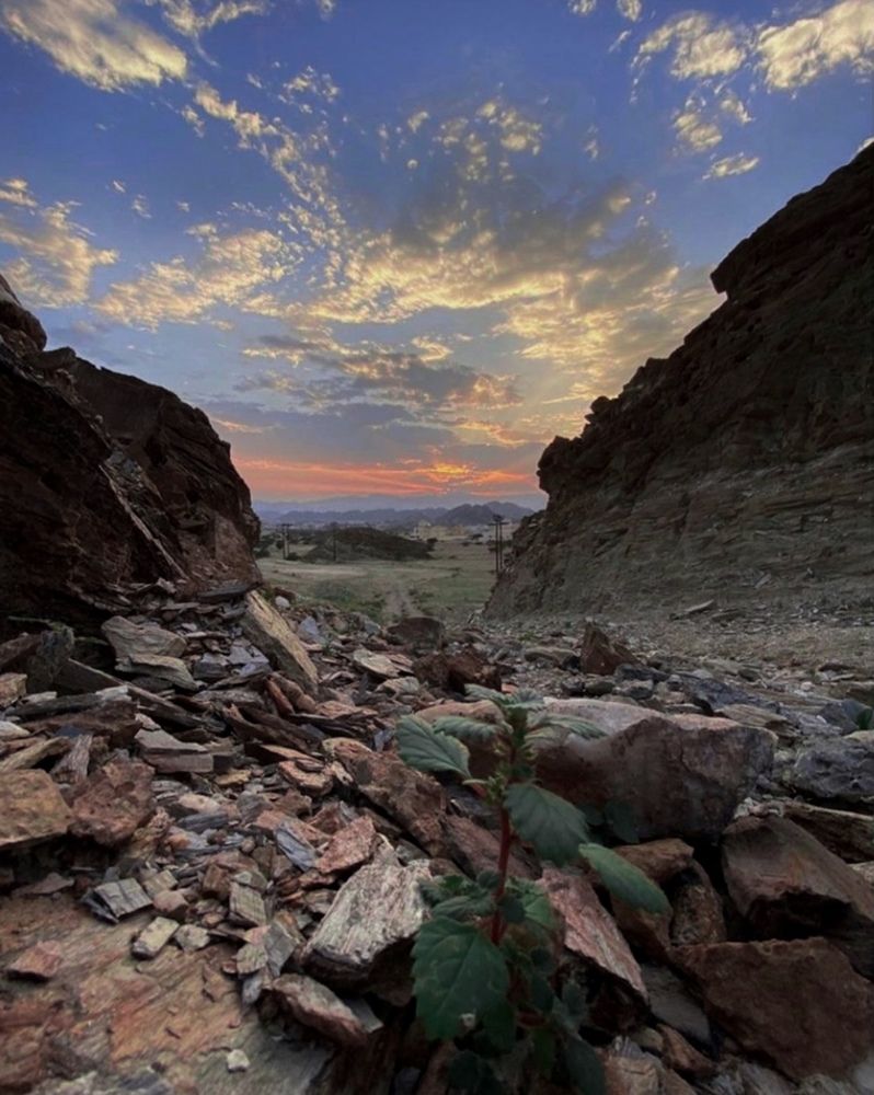 Landscape and blue sky