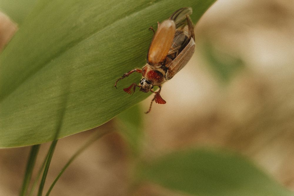 Photograph by Анастасия Ивахнова