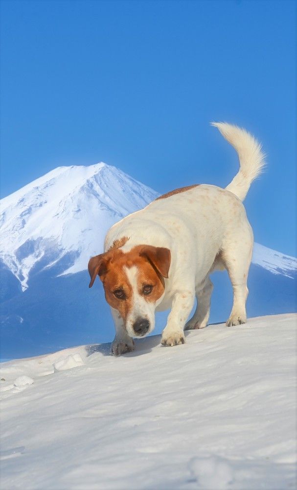 Photograph by Стас Неклюдов