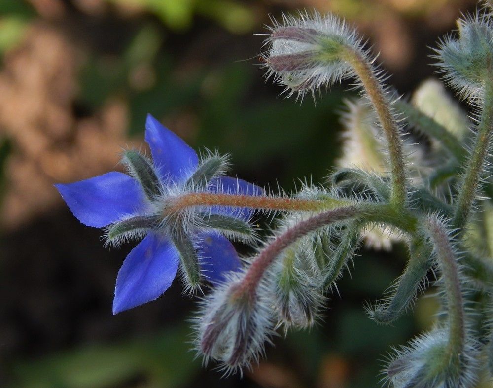 Photograph by Ирина Самойленко