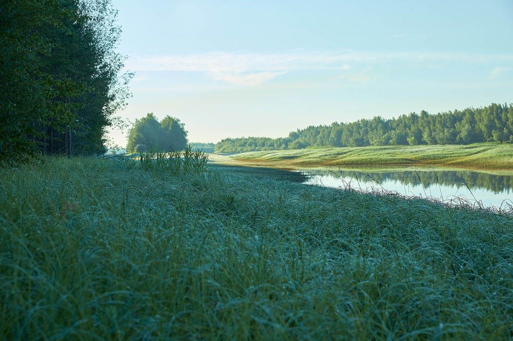 Photograph by Андрей Медведев