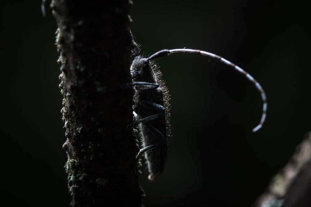 Photograph by Александр Рындин