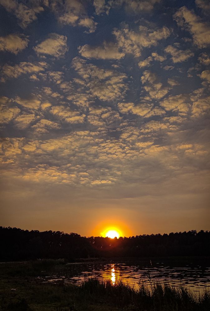 Photograph by гульчачак яруллина