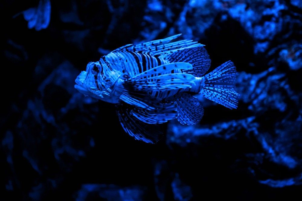 Photograph by Татьяна