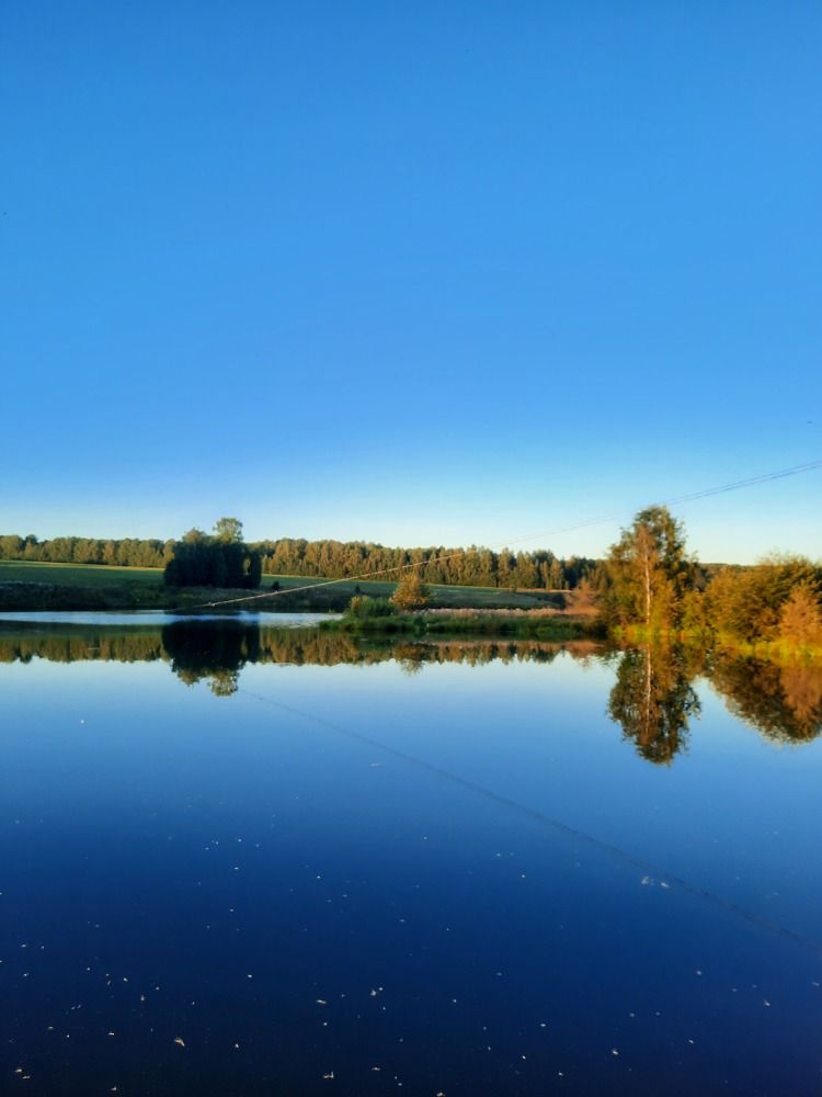 Photograph by Ольга