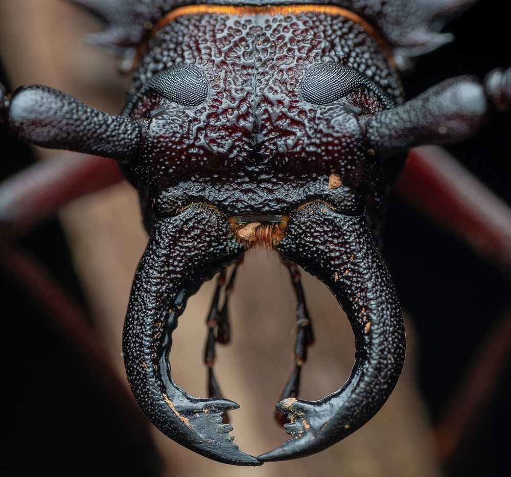 Photograph by Manjunath S