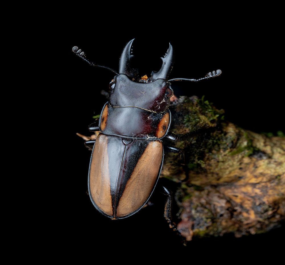 Photograph by Manjunath S