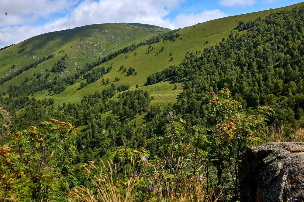 Photograph by Андрей Медведев