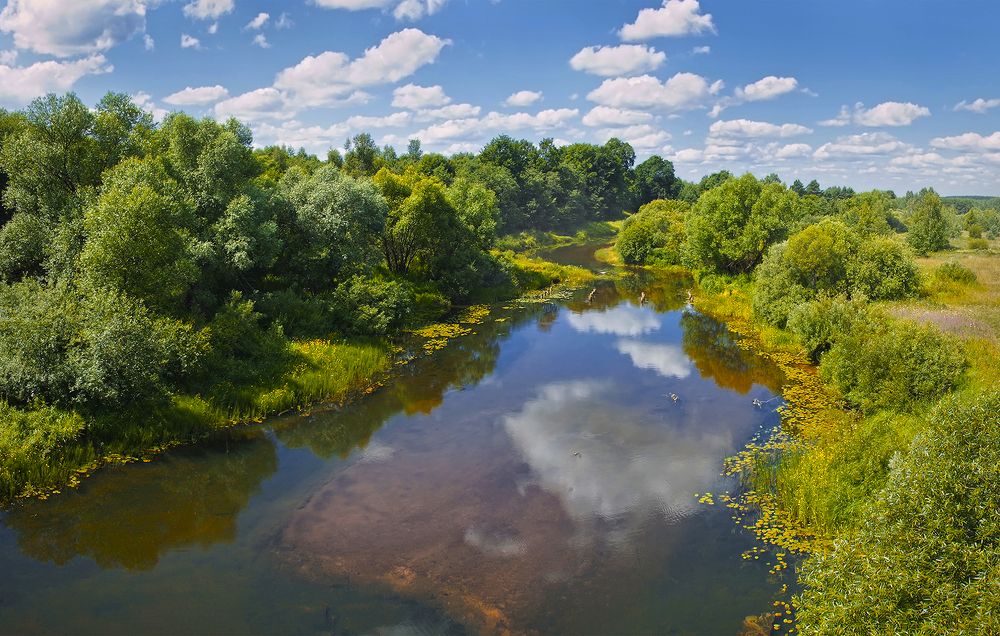 Июль на Медведице