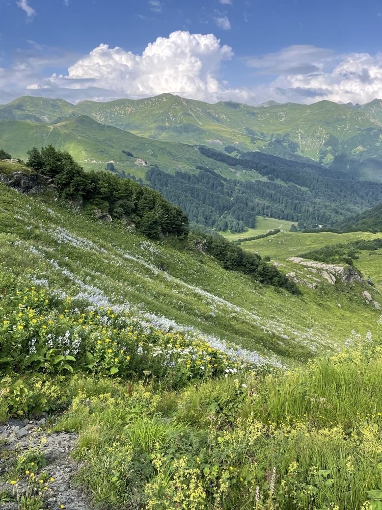 Photograph by Елена Горбунова