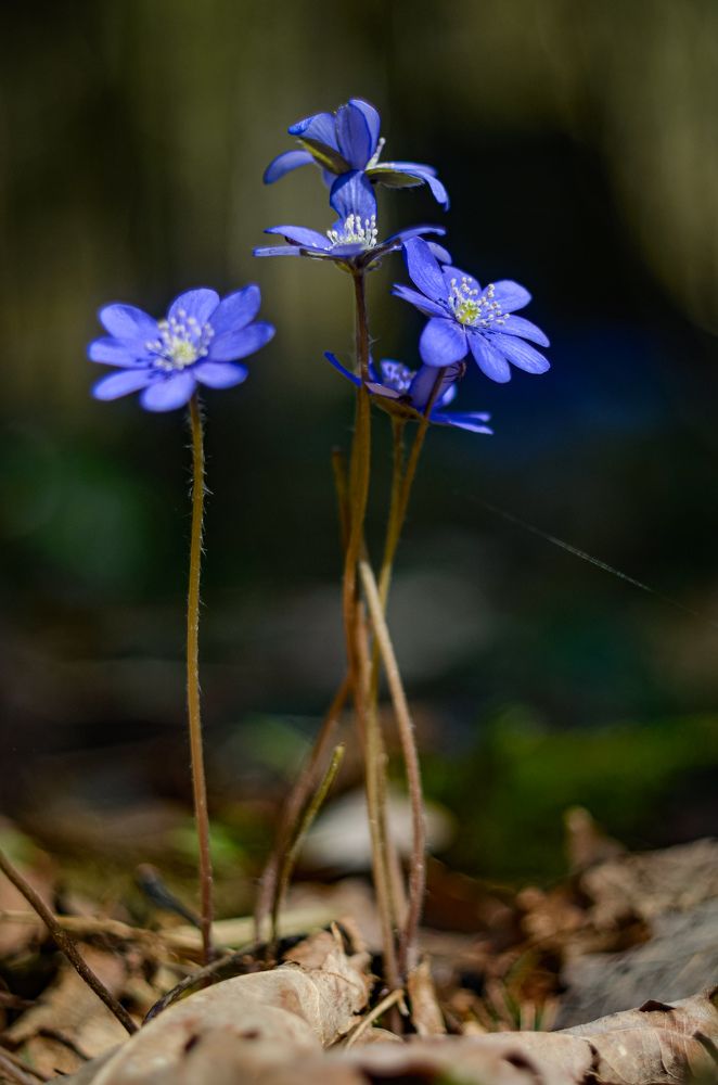 Photograph by Татьяна Бегун