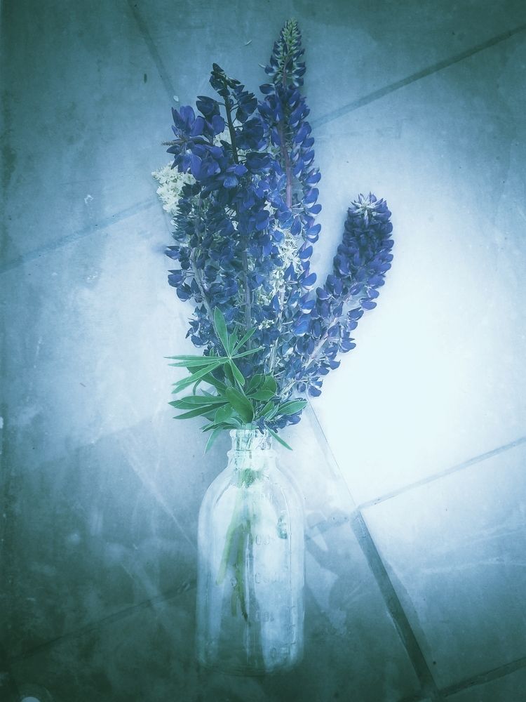 Photograph by Ksenia Paramonova