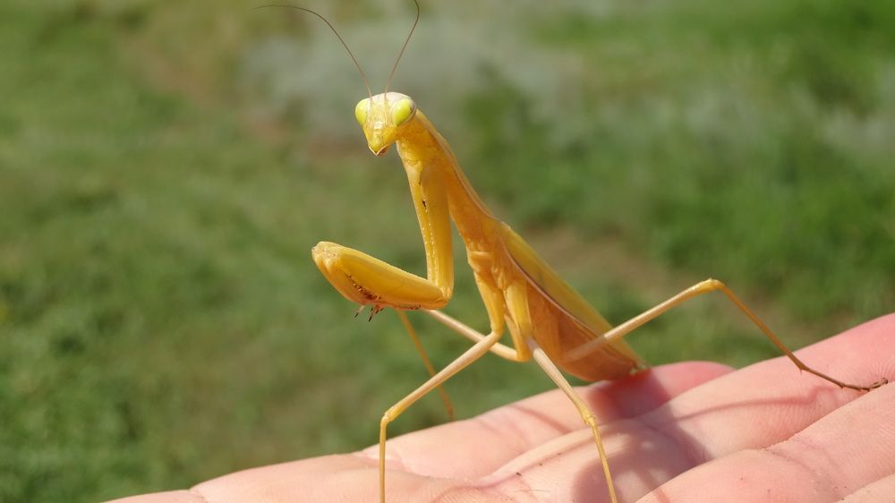 Photograph by Елена