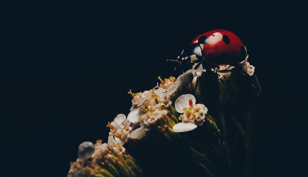 Photograph by Артем Деревенский