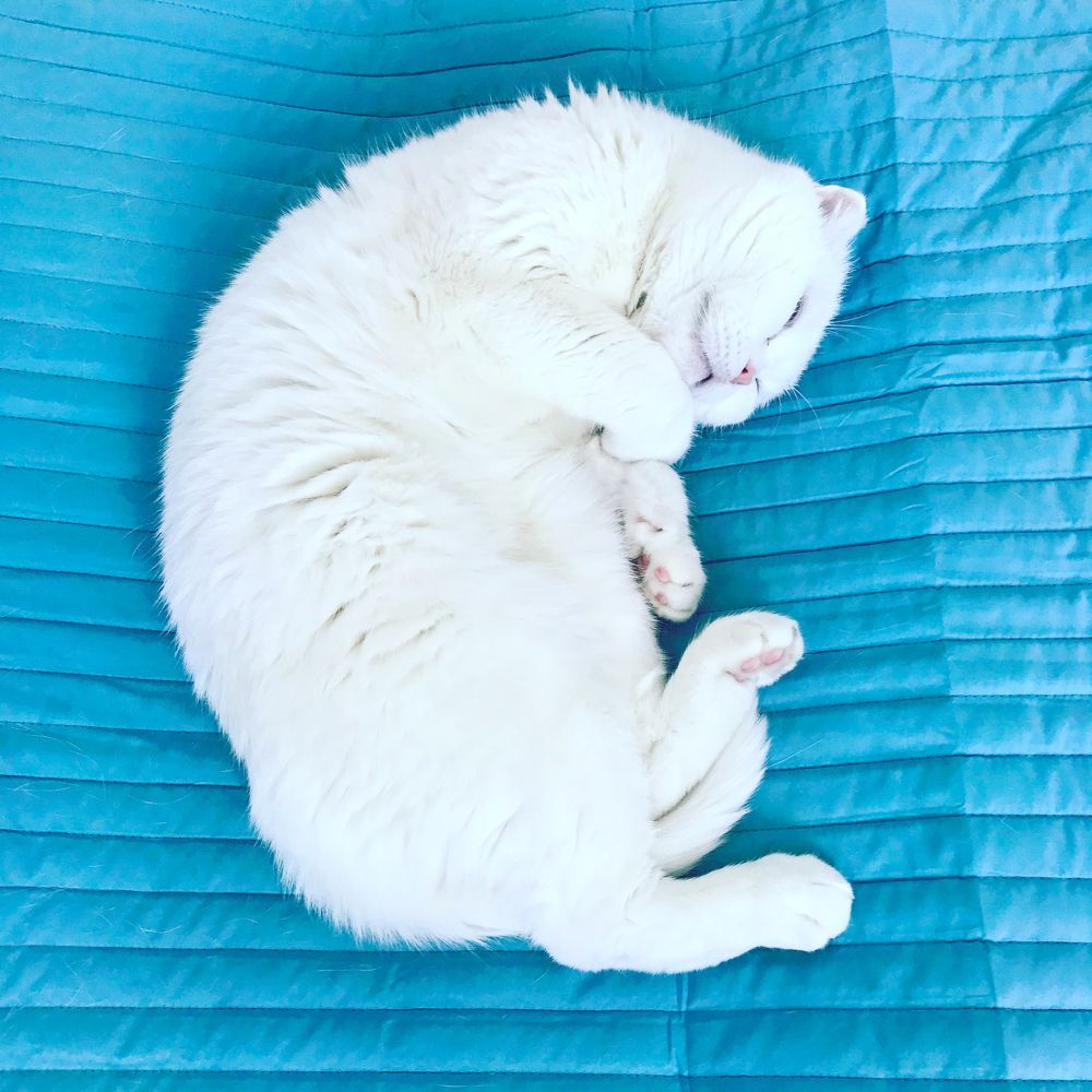 Photograph by Олег Терешкин