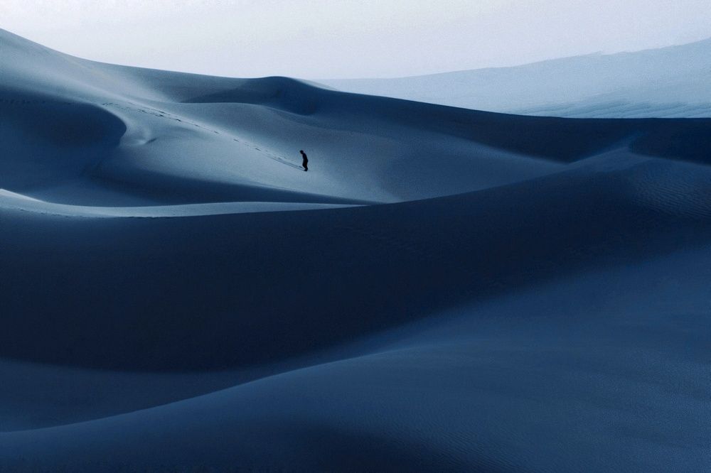 Photograph by mohammad fotouhi