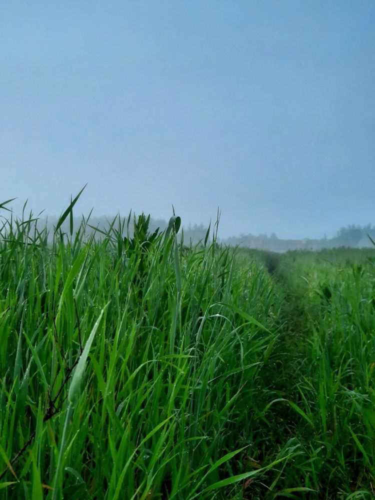 Photograph by Ольга