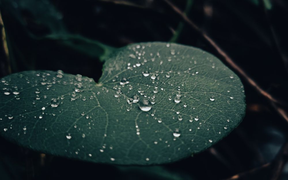 Photograph by Dhruv Mistry