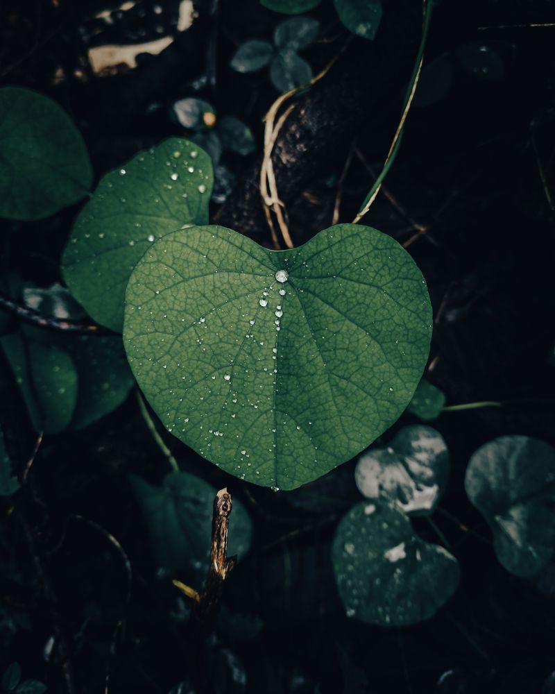 Photograph by Dhruv Mistry