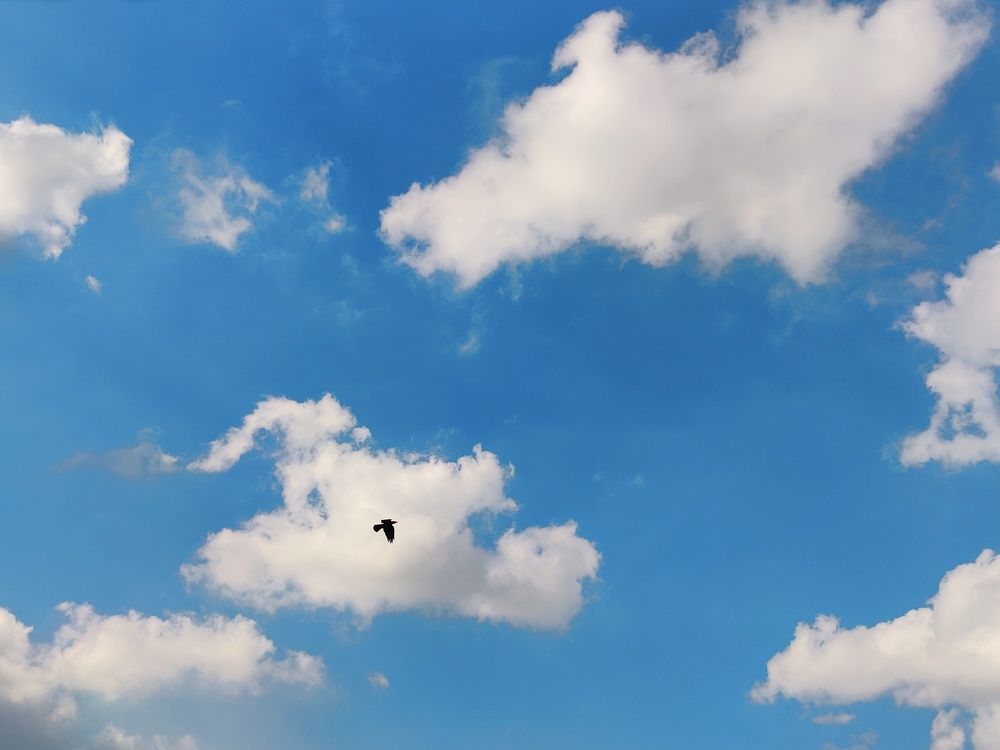 Photo #8016713