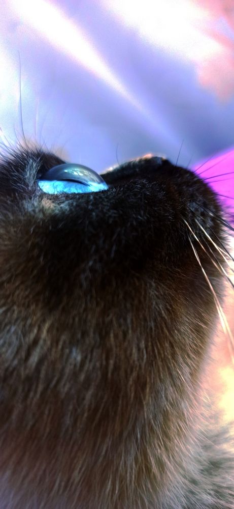 Photograph by Светлана