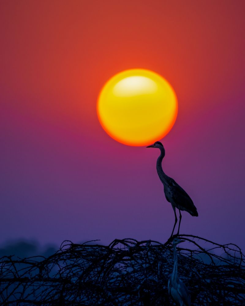 Photograph by Vishal Lokare