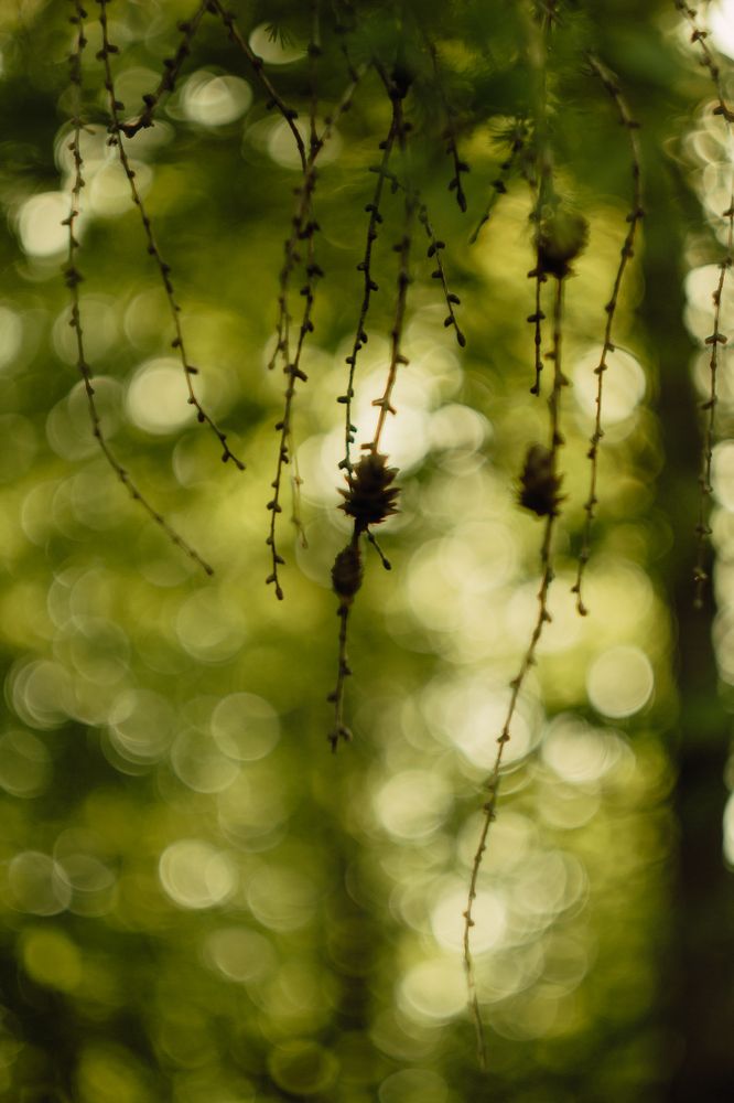 Photograph by Анастасия Ивахнова