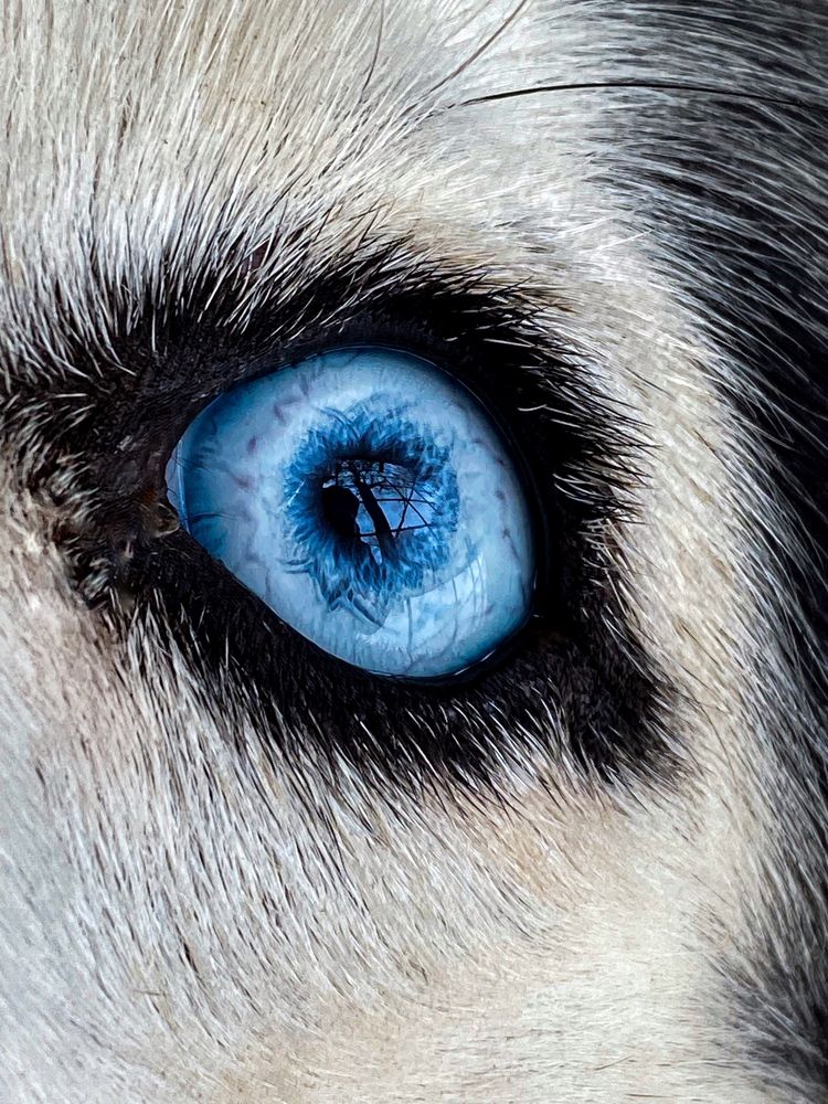 Photograph by Наталья Перерва