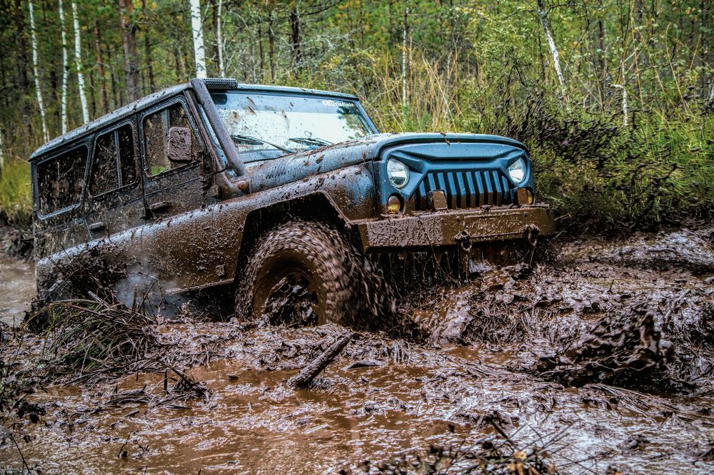 Photograph by Почечуй Андрей