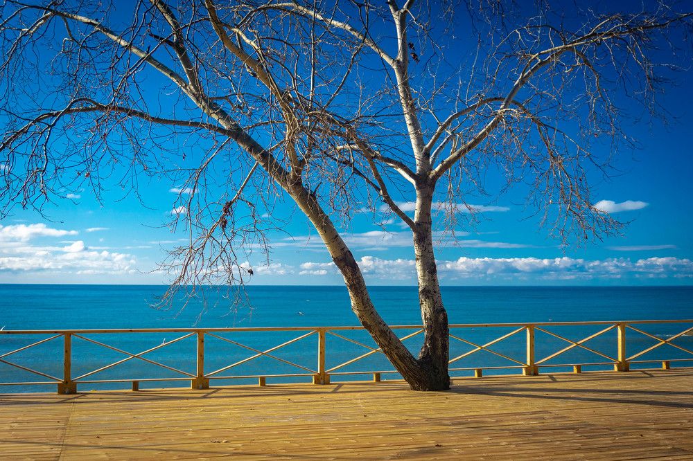 Photograph by Юрий Можейко