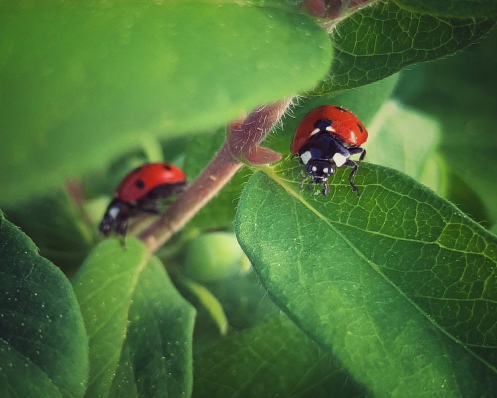Фотография автора Ольга Кунакова