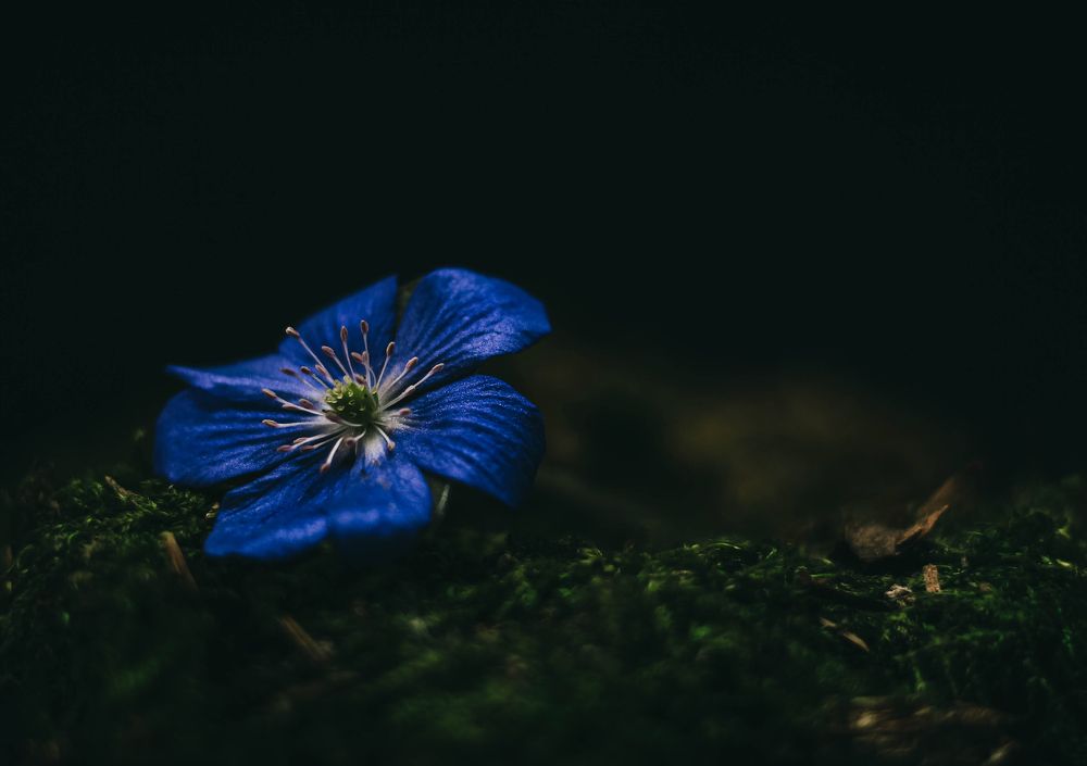 Photograph by Евгений Белов