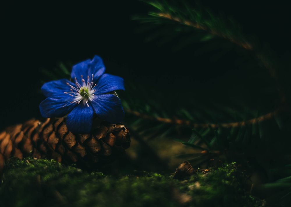 Photograph by Евгений Белов