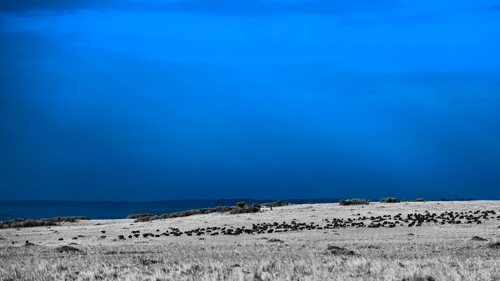 Photograph by Abner Moses Yasir Hussain