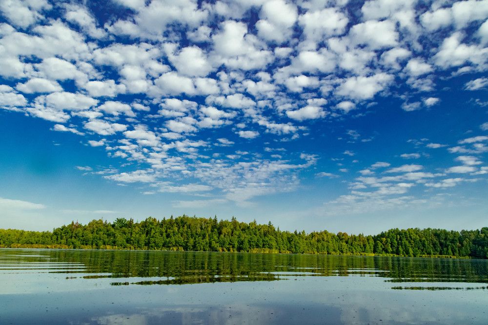 Фотография автора Екатерина Счасная