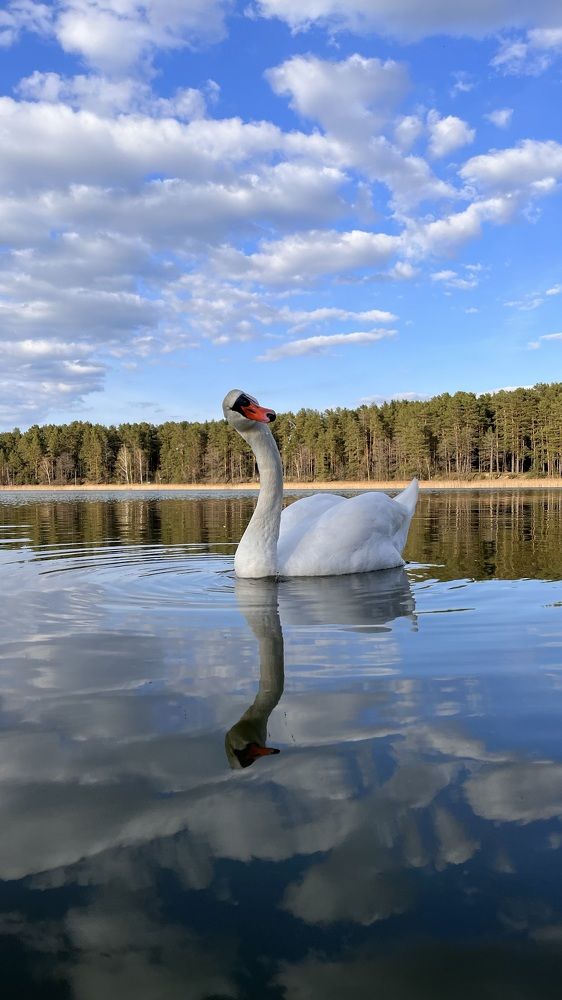 Photograph by Виктория Голубь