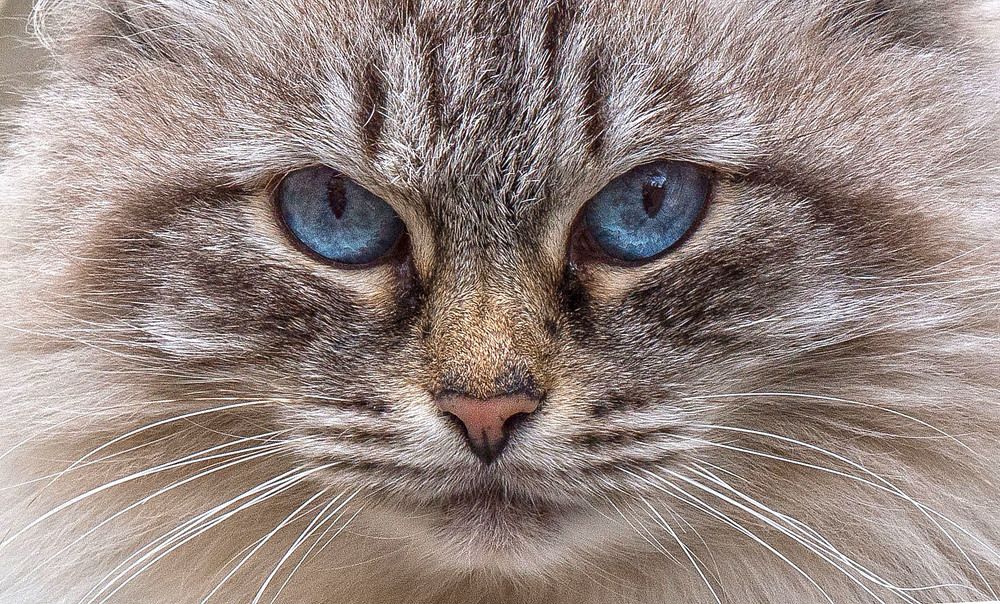 Photograph by Василий Губский