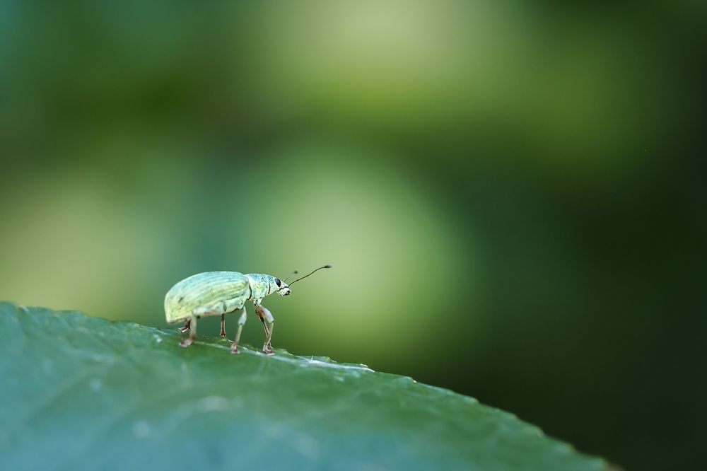 Photograph by Yana Marinova