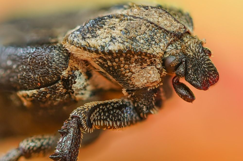 Photograph by Сергей Прокофьев