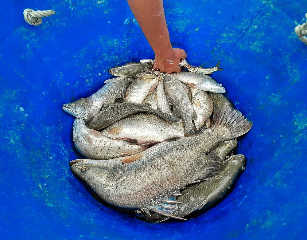 Photograph by DEBRAJ BISWAS