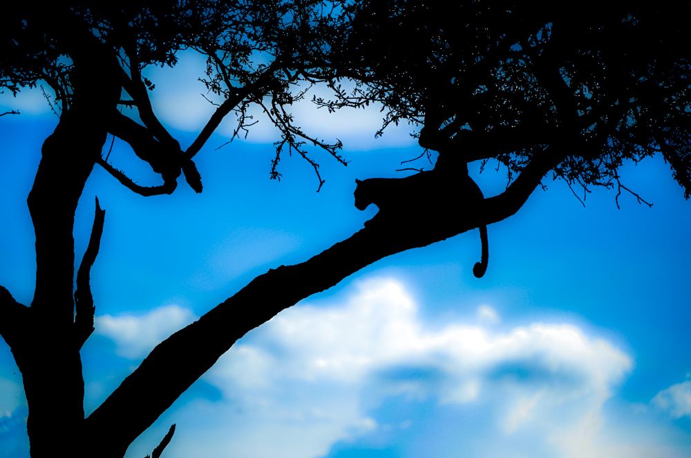 Photograph by Abner Moses Yasir Hussain