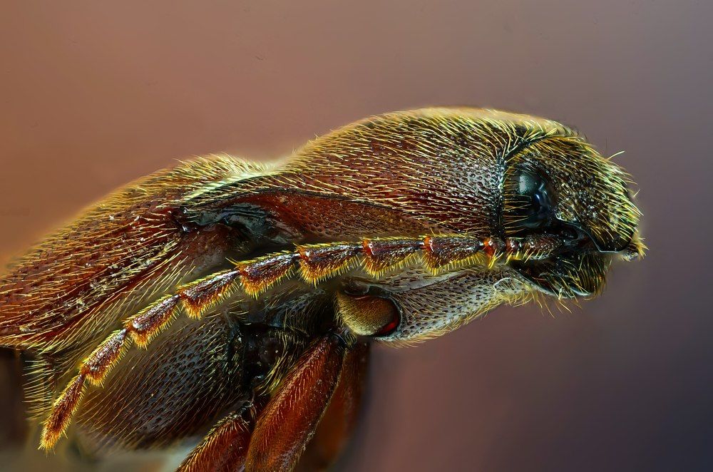 Photograph by Сергей Прокофьев