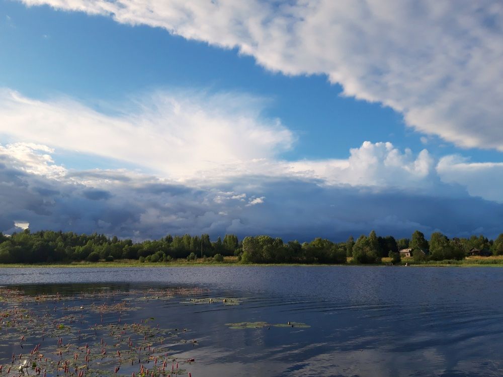 Photograph by Анжелика Медведева