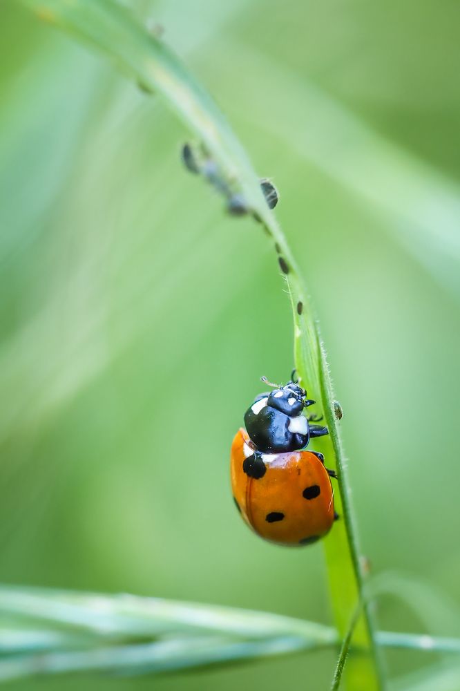 Photograph by Yana Marinova