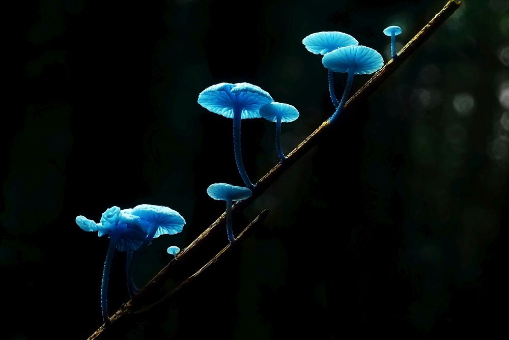 Photograph by Сергей Прокофьев