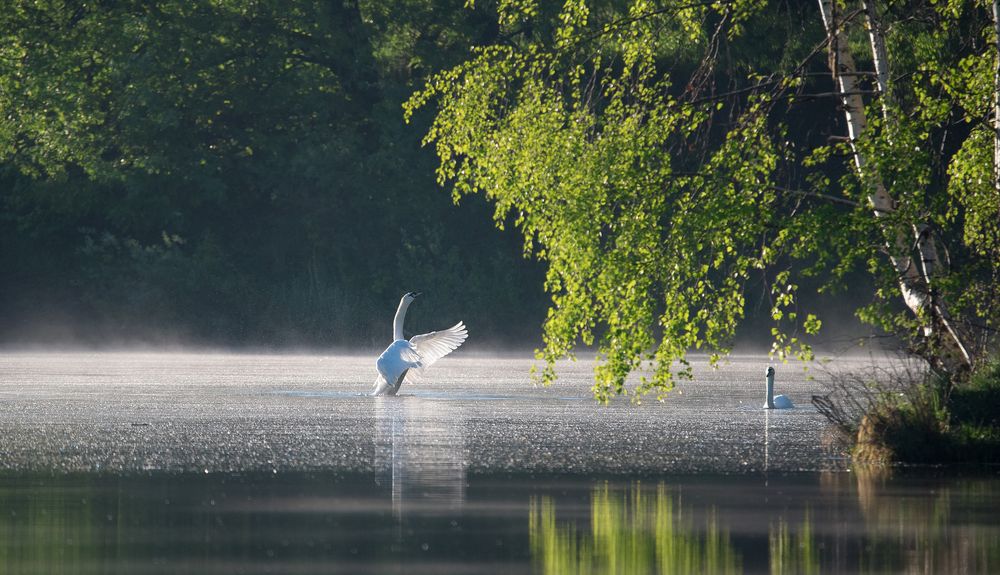 Восторг любви.