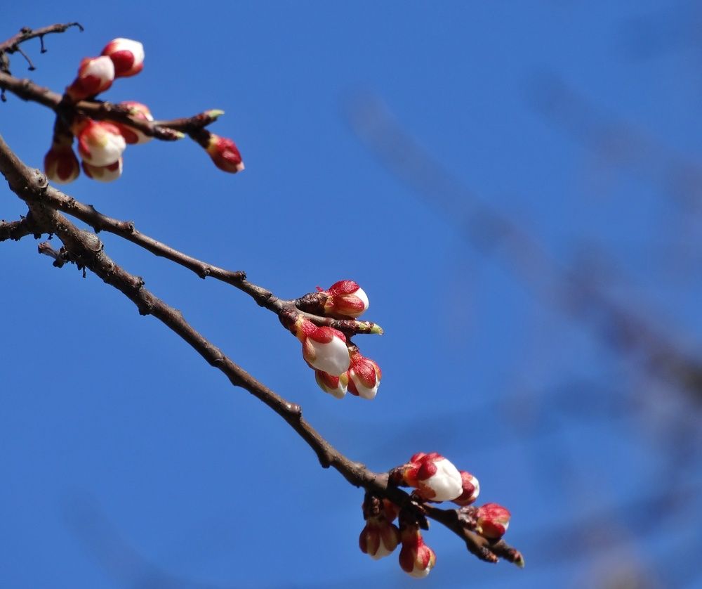 Photograph by Ирина Половцева