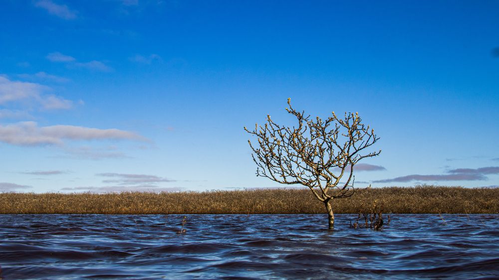 Photograph by Антон Дроздов