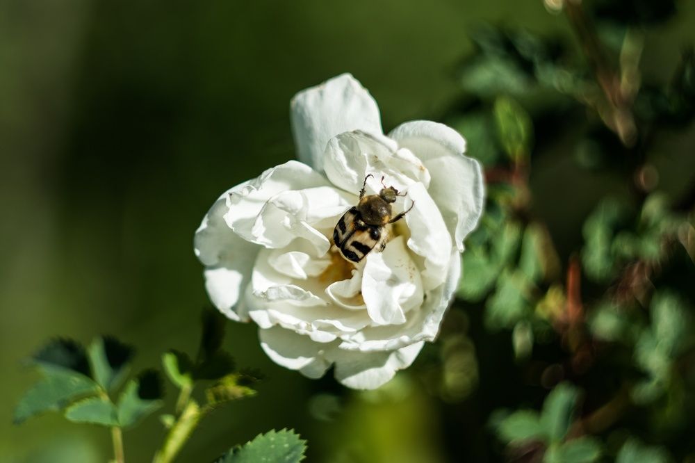 Photograph by Татьяна Юдина