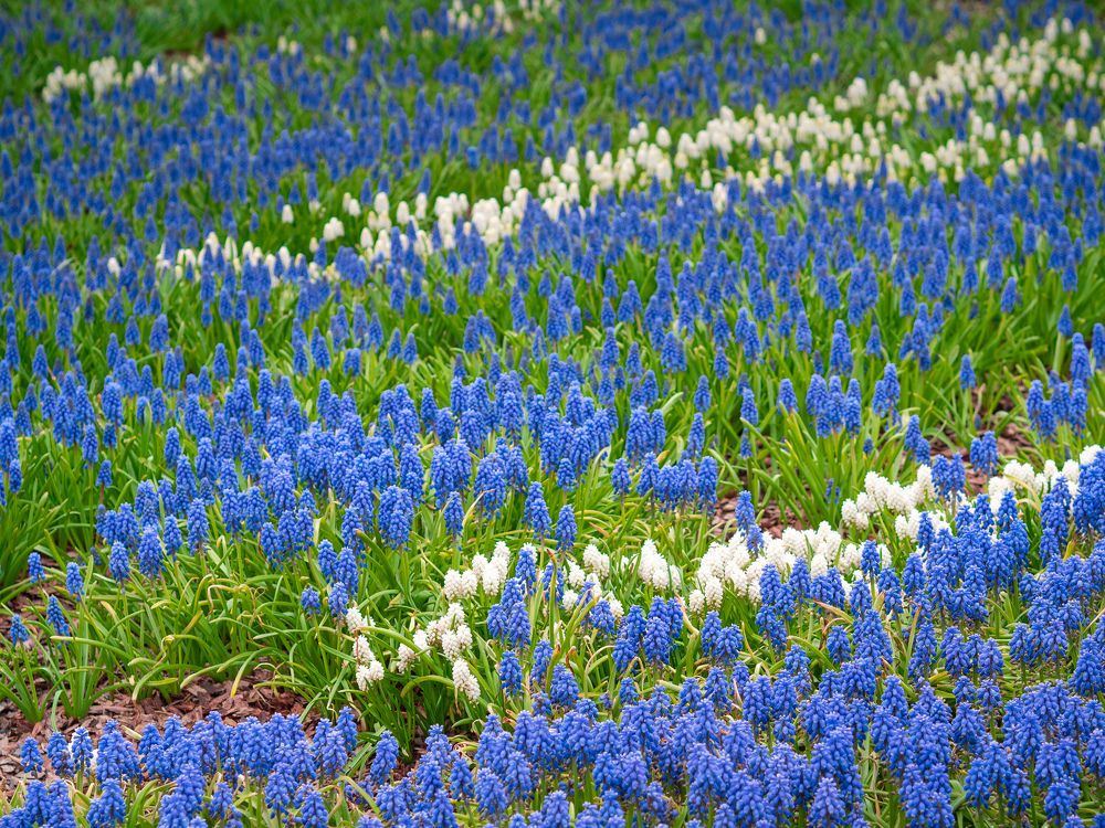 Photograph by Ярослав Изотов